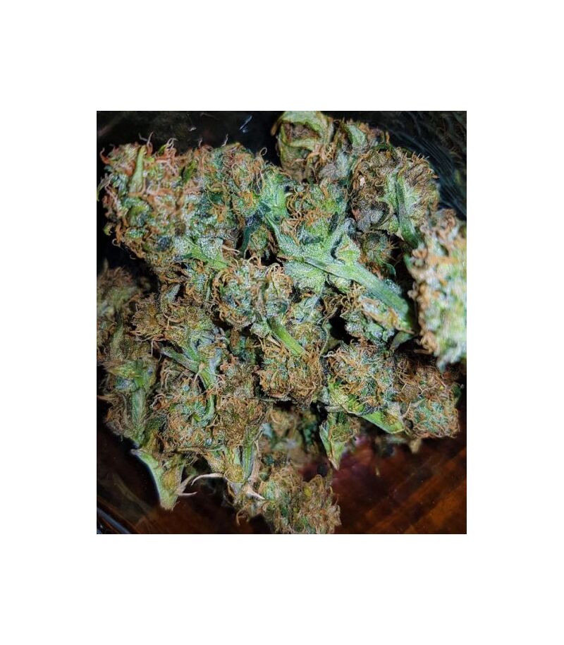 Auto Gorilla Glue, Фасовка: 5, изображение 5